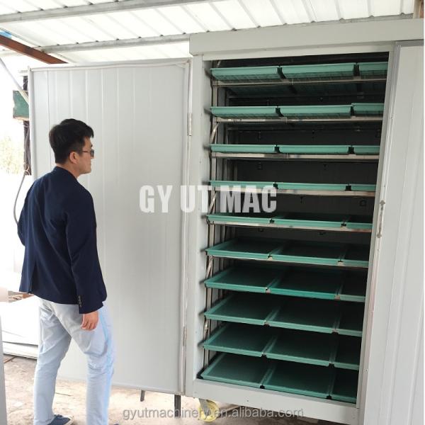 Hydroponic Hulless Barley Sprout Machines 3-4 Days Production Cycle 1.5 Tons Capacity