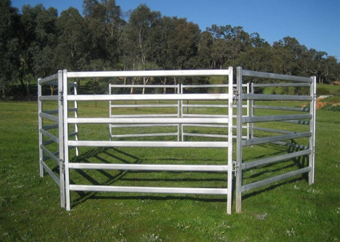 China 6 Rails 3m Tall Heavy Duty Cattle Panel Free Standing wholesale