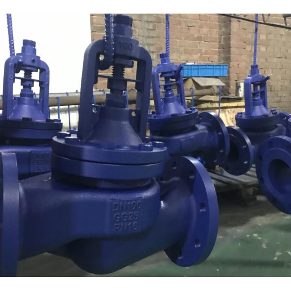 DIN bellows globe valve PN16 body GG25