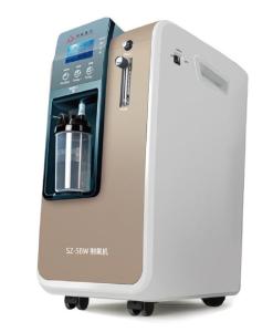 China Continuous Flow 3L 5L Portable Oxygen Concentrator Machine wholesale