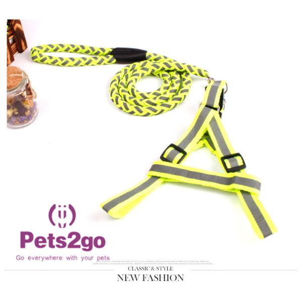 Pet Training Dog Shock Collar Puppies Tools Basic Concepts Learning Curve