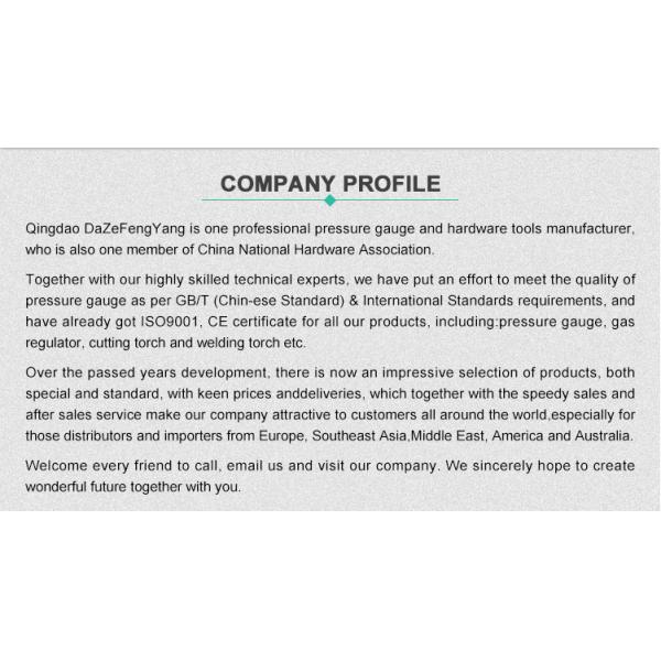 Stainless Steel Bourdon Tube Pressure Gauge 60mm Bottom Connection