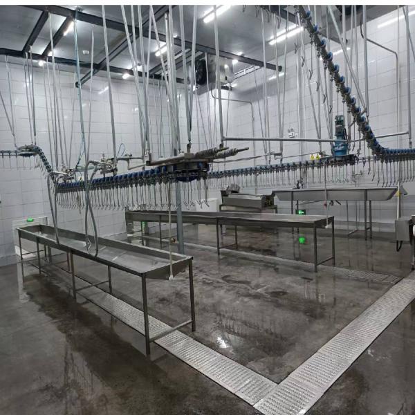 Stainless Steel Chicken Slaughter Production Line for Various Production Capacities