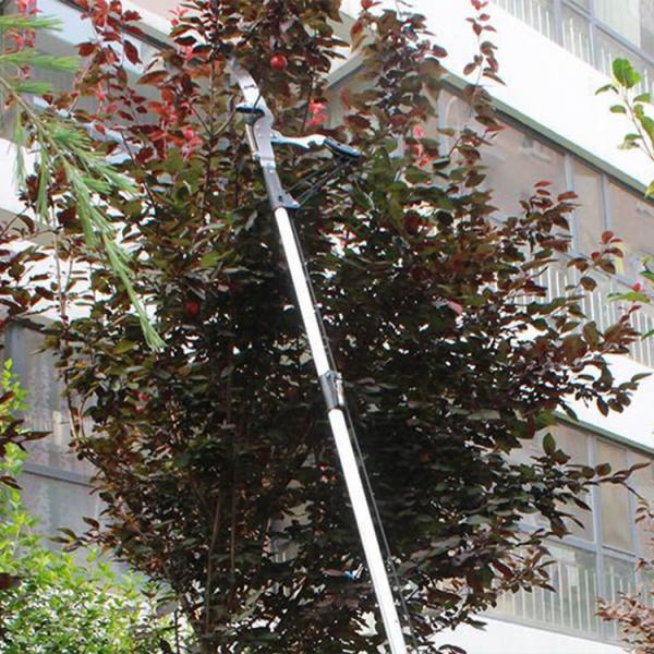 Telescopic Cordless Pruning Shears Pruner Extension Long Handled Secateurs