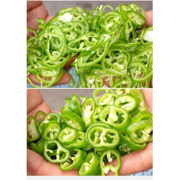 SS304 Vegetable Processing Machine Mini Electric Tabletop Onion Slicer Food Processor