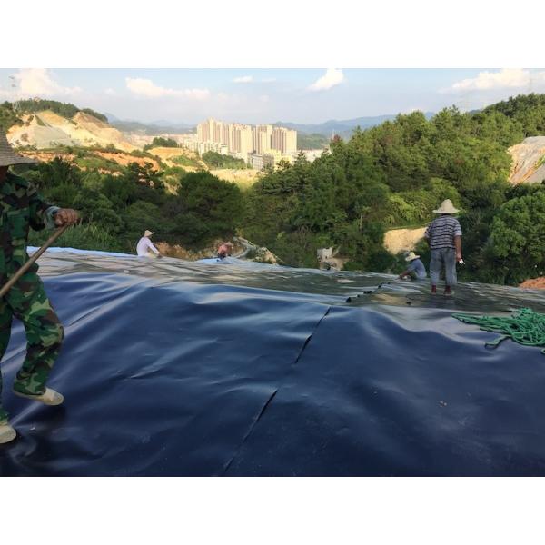 60Mils 1.5mm Thickness Smooth HDPE Geomembrane Lagoon Lined Waterproof Anti-seepage