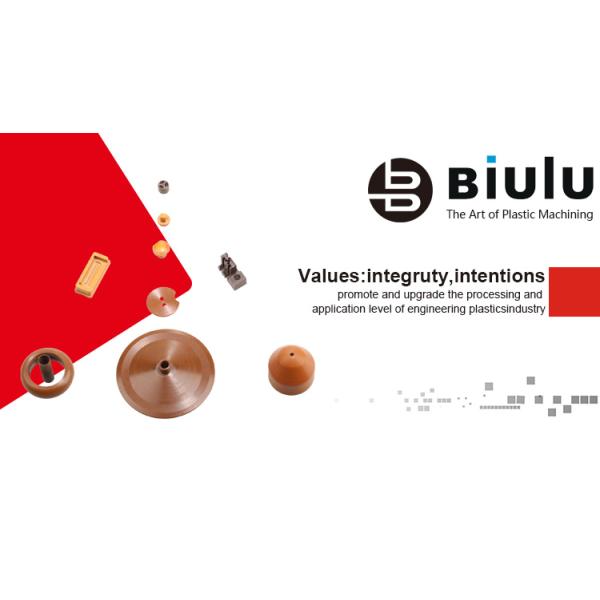 0.01mm Tolerance Mirco Precision Plastic Machining High Demand Machinery PI Parts