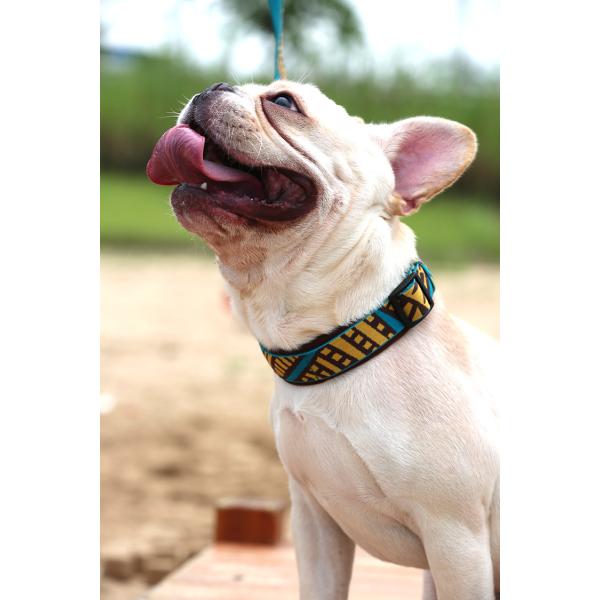 Martingale Neoprene Padded Dog Collar With Buckle Reflective Dog Harness And Leash