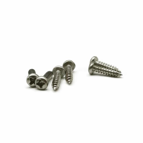 PA2.5*8 Stainless Steel Pan Head Self Tapping Screws Precision Small Screws For Electrical Appliances SS316 Black Stainless Self Tapping Screws PA2.5x8 Gilded anodized