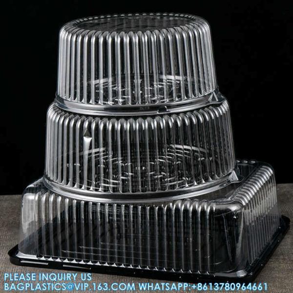 10-11" Plastic Disposable Cake Containers Carriers With Dome Lids And Cake