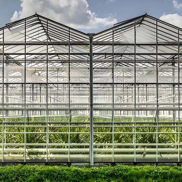 UV-Resistant PC Sheet Venlo-Type Greenhouse Equipped with Ebb-and-Flow Seedbeds and Humidity Regulation Systems