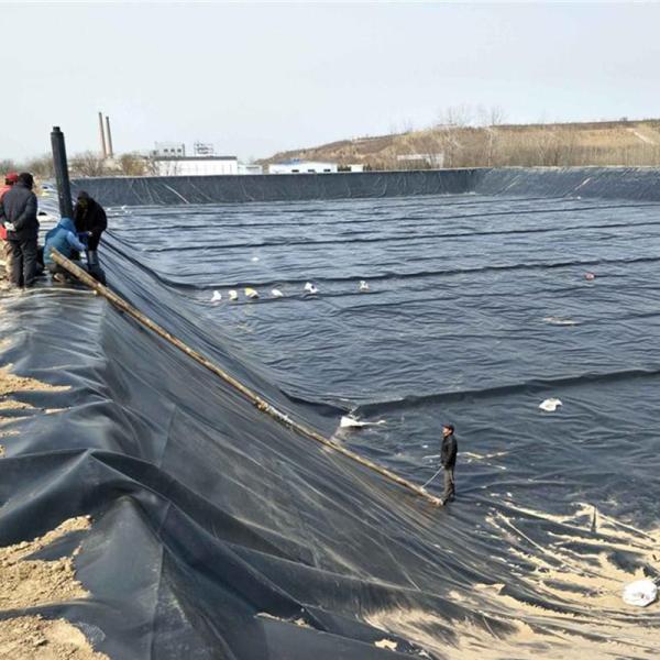 Anti Seepage HDPE Geomembrane Composited Membrane Agricultural Geomembranas For Fish Farming