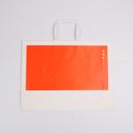 Coated Paper Custom Printed Gift Bags With Handle Offset printing