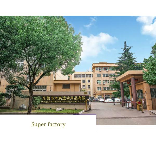 Polyester Spandex Plus Size Running Leggings Elastic High Waisted Running Pants