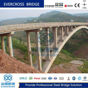 China Single Span Steel Arch Bridge OEM Steel Concrete Composite Bridges wholesale