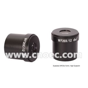 Biological Inverted Optical Microscope