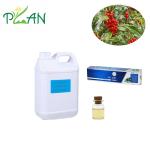 High Purity Holly Toothpaste Fragrance Oil Long Lasting Essential Oils