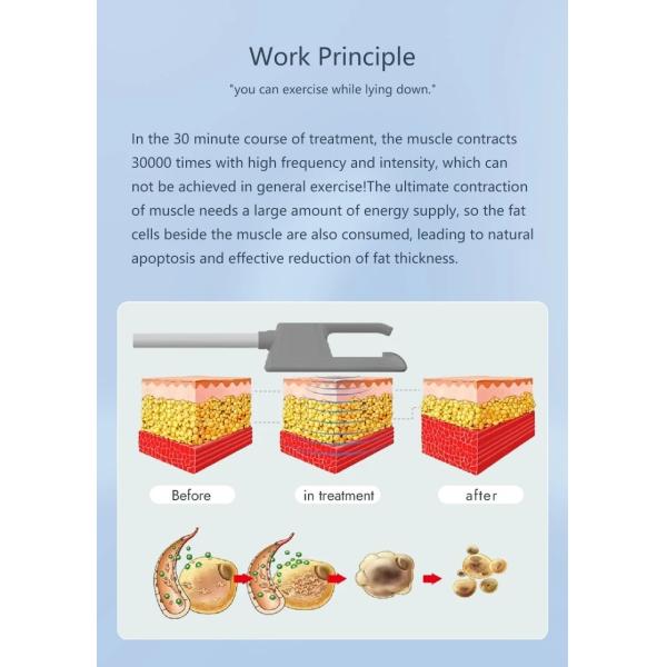 Mini Electric Muscle Stimulating Body Slim HI EMT Weight Loss Machine