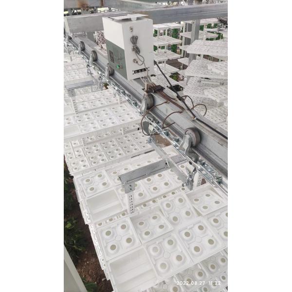 Vertical Farming Hanging Plant Hydroponic Intelligence Farming