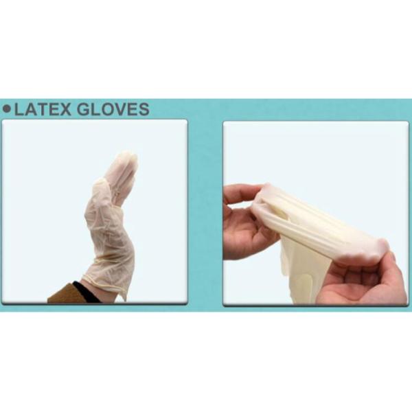 Disposable Latex Exam Gloves