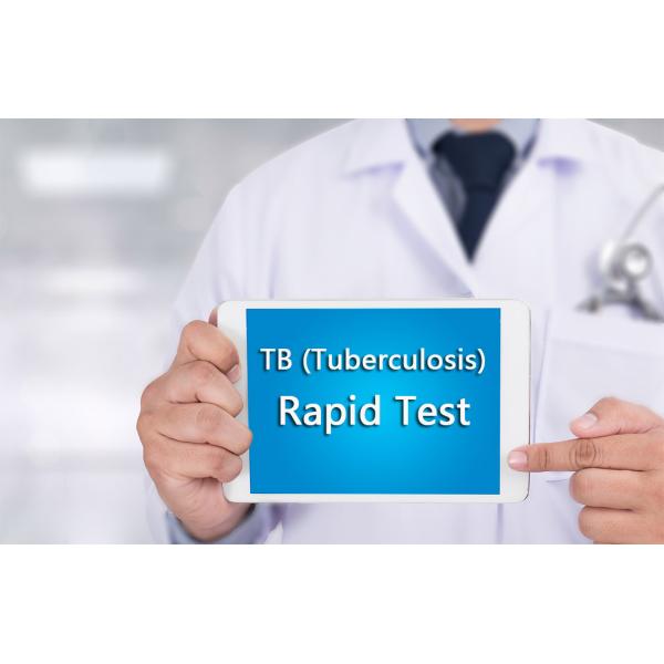 99% Specificity TB Antibody IgG IgM Tuberculosis Rapid Test Kit