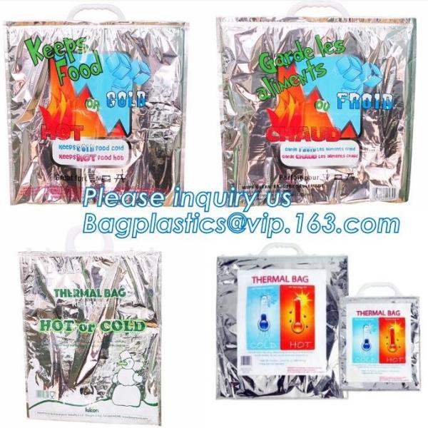 Foldable Lunch Insulated Cooler Bag Heated Food Delivery Bag Thermal Pizza Delivery Cooler Bag