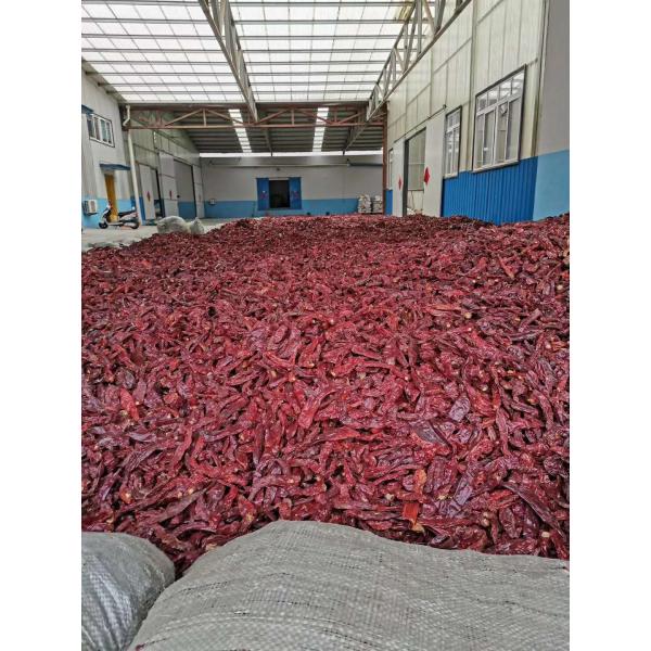 Block Shape Dried Guajillo Chili Peppers
