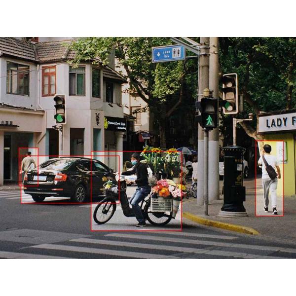 ADAS 360 Surround View Camera System All Terrain Perspective MOD LDWS Blind Spot Parking Assistance