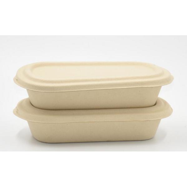 1000ml Biodegradable Straw pulp food container 2 compartments paper food tray with PP lid