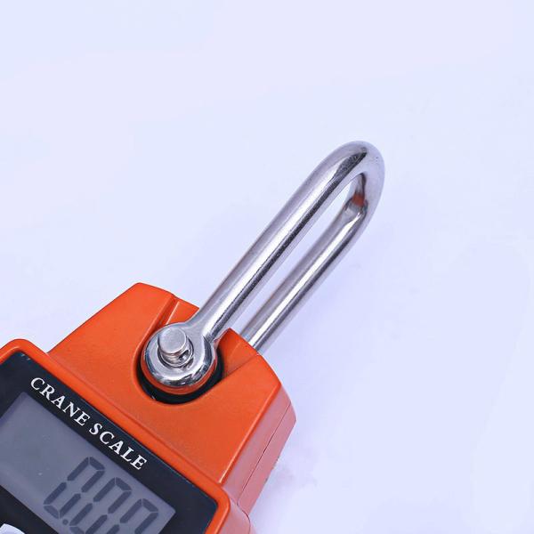 ABS Stainless Steel Digital Crane Weighing Scale 100kg-300kg Capacity LED/LCD Display Tare Function OEM ODM Supported