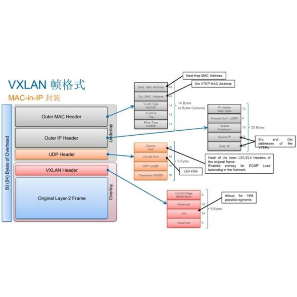 Network Packet Broker VXLAN Header Stripping Of Underlay Overlay And VTEP Ethernet Tap Device