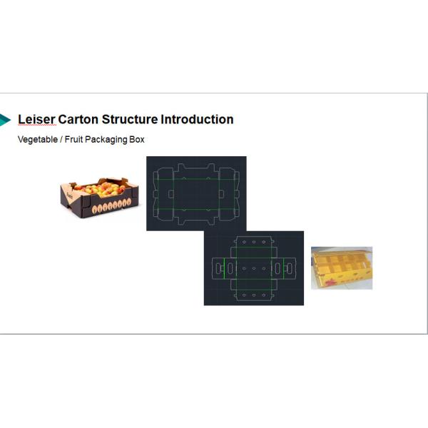 Anti Unpack Plastic Corrugated Foldable Boxes Frozen Storage Boxes