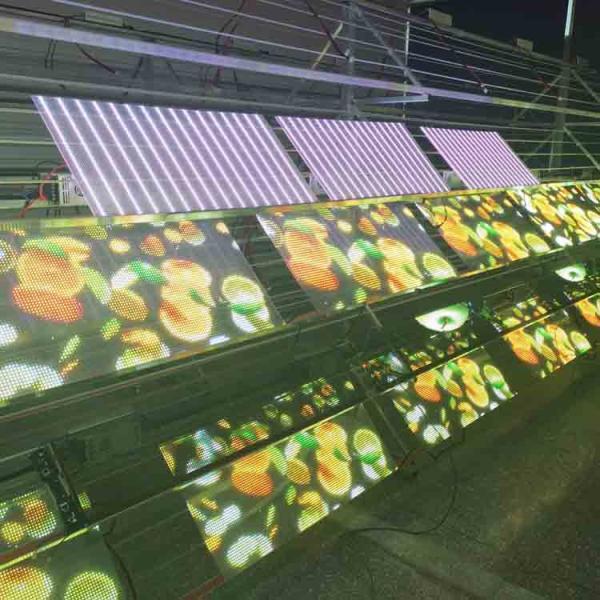 Flexible LED Transparent Film Screen Easy Installation For Advertising LED Panel
