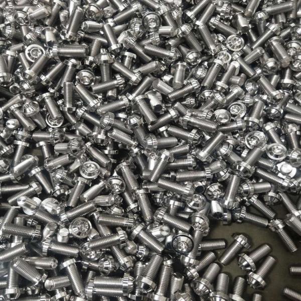 Dished Head Plum Bolt Titanium bolts M24 Titanium Bike Screws
