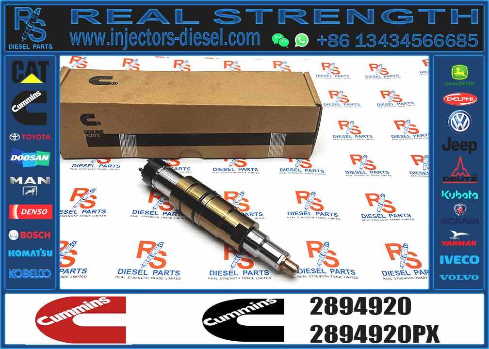2894920 for Scania Engine Diesel Common Rail Fuel Injector High Performance Auto Engine Parts Car Engine Systems Assembly