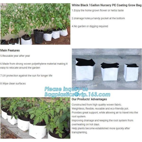 Garden used tomato plastic film cover,high light transmittance solar control seeding nursery greenhouse covers,100% virg