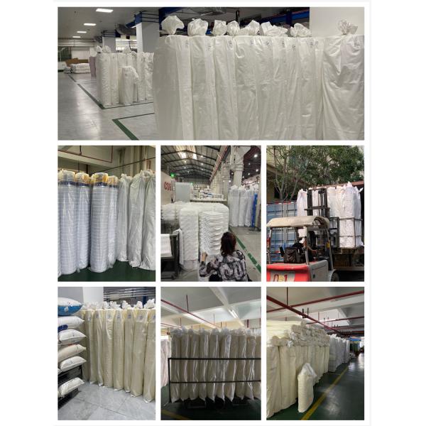 Lid Handle Paint Plastic Bucket FDA Approved 10L