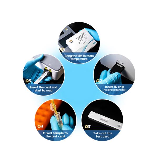 Tumor Marker Real Time PCR Kits Human Epididymis Protein 4 Kit