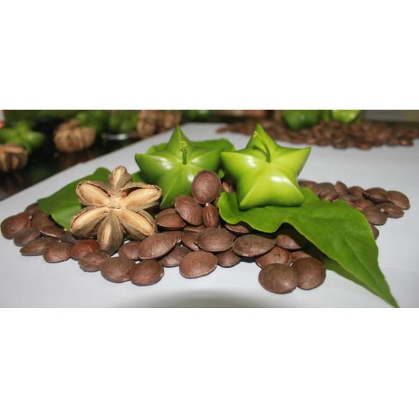 Large Capacity Sacha Inchi Melon Seeds Removing Shelling Machine Sacha Inchi Nuts Shell separation Machine