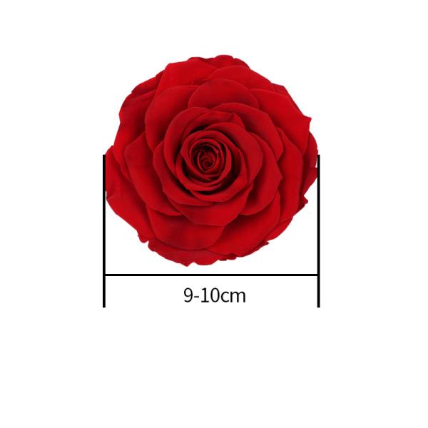 Home Decor Preserved Rose Heads Creative Household Decorative Furnishings
