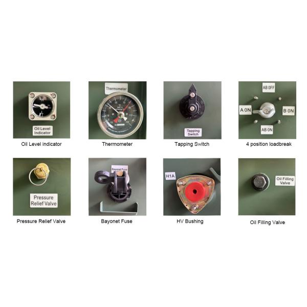 250kva Single Phase Pad Mounted Transformer Oil Immersed Outdoor 12.4kv