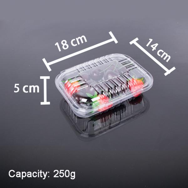 Clamshell Disposable Fruit Box
