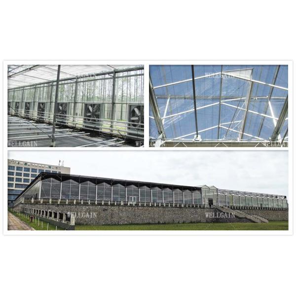 Crop Growth Polycarbonate Greenhouse With Snow Resistant Aluminum Frame