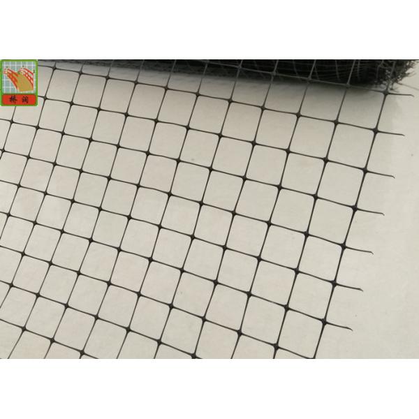 Heavy Duty Plastic Vegetable Garden Mesh Netting , PP Black Anti Bird Netting