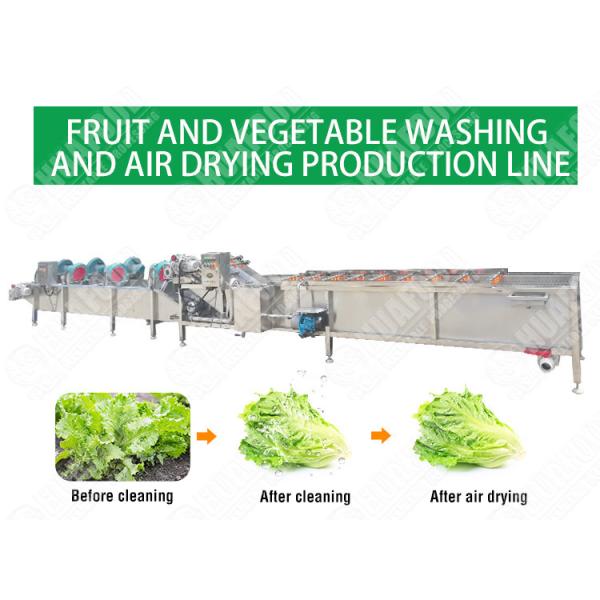 5.1KW 380v 50hz 1500kg/H Vegetable Cleaning Machine
