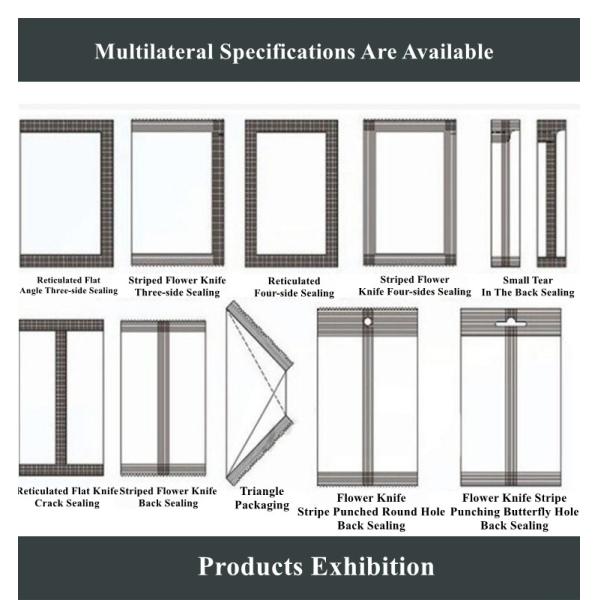 Vertical Multi Function Packing Machine For Powder Round Corner Sachets