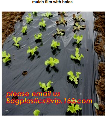 Garden used tomato plastic film cover,high light transmittance solar control seeding nursery greenhouse covers,100% virg