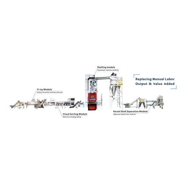 Auto Walnut Shelling Machine With Kernel Shell Separation