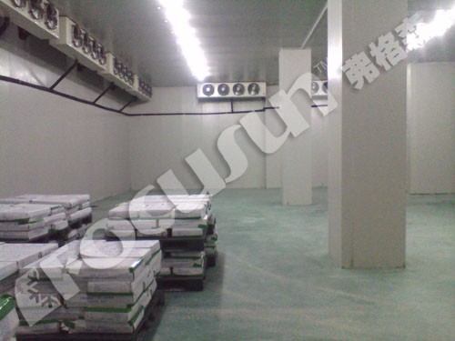 Cold Room Freezer for Vegetables Fruit Meat And Seafood