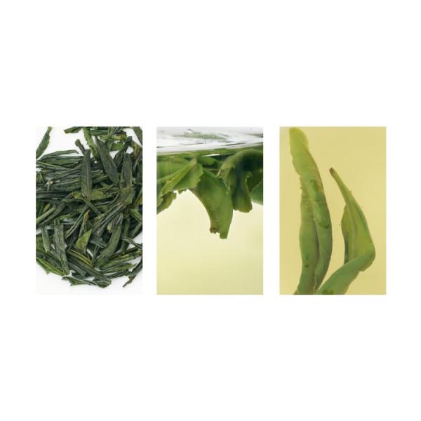 green Anhui Liu An Gua Pian strong green tea improve indigestion situations